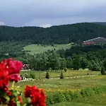 Gasthof Willa Anna Maria Wysowa-Zdrój