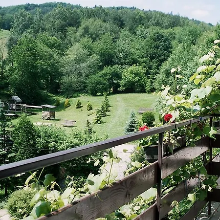 Guest house Willa Anna Maria 3*