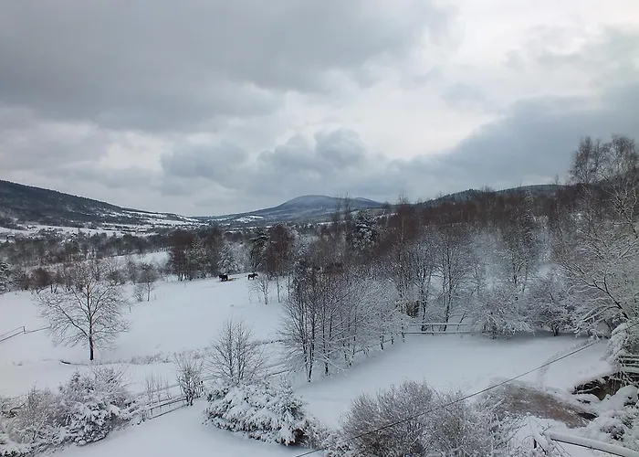 Affittacamere Anna Maria Wysowa-Zdrój