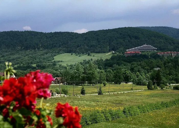 Affittacamere Anna Maria Wysowa-Zdrój